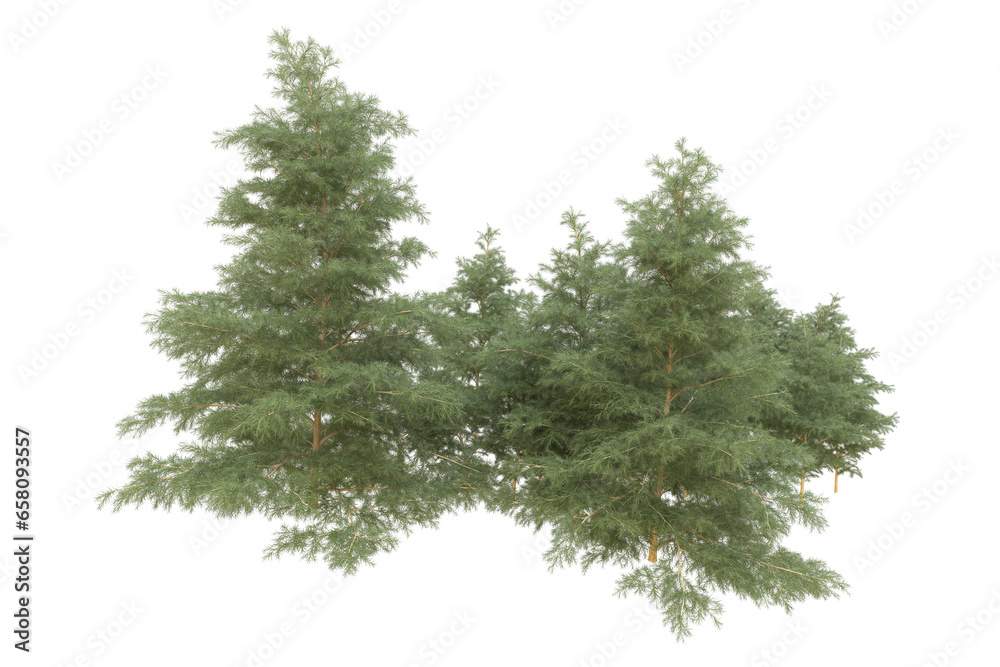 Realistic forest isolated on transparent background. 3d rendering - illustration Realistic forest isolated on transparent background. 3d rendering - illustration