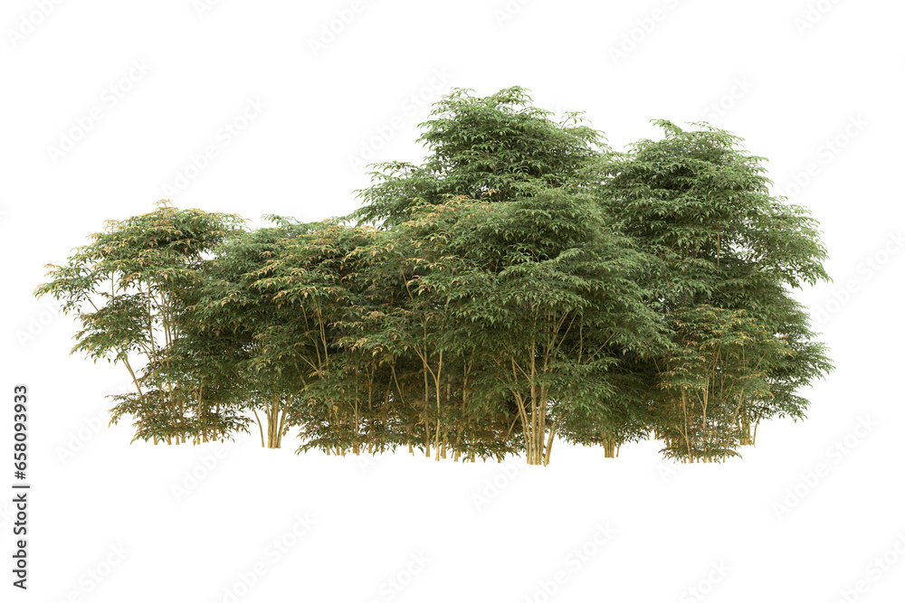 Fototapeta premium Realistic forest isolated on transparent background. 3d rendering - illustration