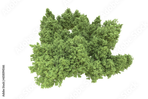 Realistic forest isolated on transparent background. 3d rendering - illustration