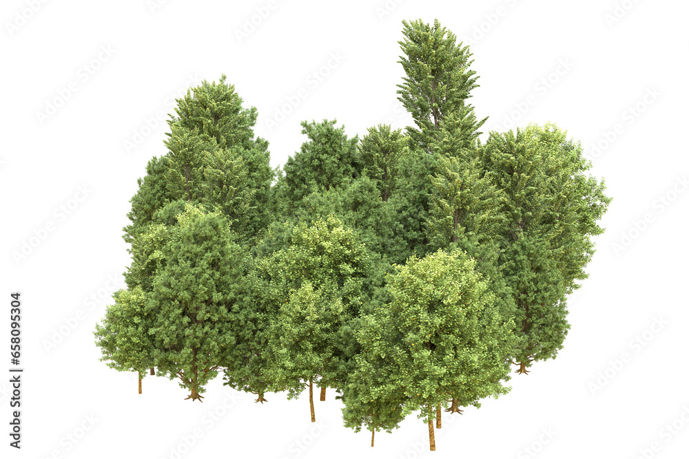 Fototapeta premium Realistic forest isolated on transparent background. 3d rendering - illustration