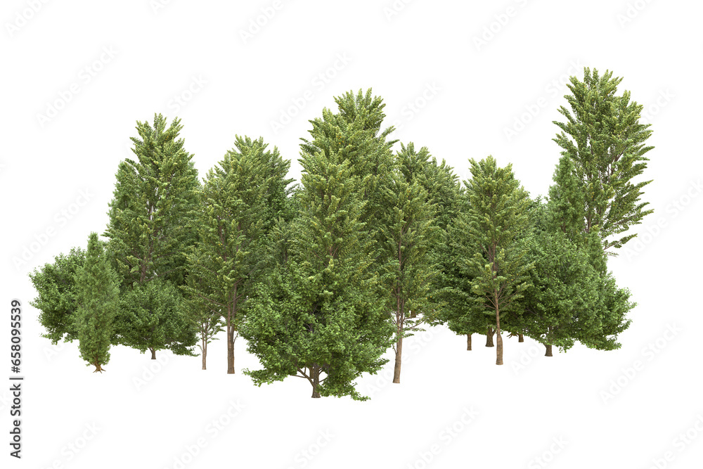 Fototapeta premium Realistic forest isolated on transparent background. 3d rendering - illustration
