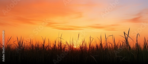Sugar cane plantation factory at sunset