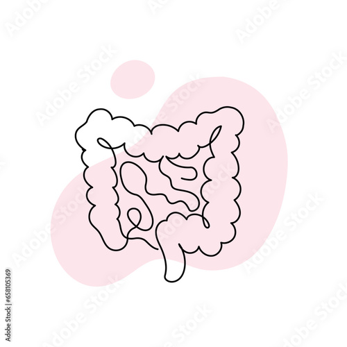 Healthcare one line concept. Vector healthcare linear illustration. Gut intestine anatomy symbol silhouette on pink splash isolated on white background. Design for health care, gastroenterology photo