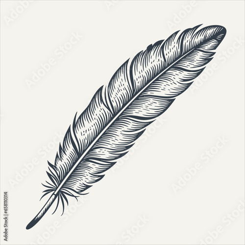 Feather. Vintage woodcut engraving style vector illustration.