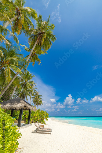 Fototapeta Naklejka Na Ścianę i Meble -  Amazing sunny panorama at Maldives. Luxury resort seascape. Majestic sea waves coconut palm trees sand sunshine sky. Beauty paradise beach popular destination. Best summer vacation travel background