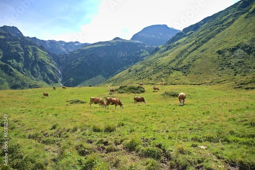 Nassfeld Valley in Hohe Tauren National Park, Austria © jindrich
