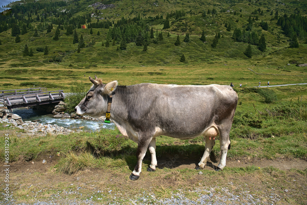 Nassfeld Valley in Hohe Tauren National Park, Austria Nassfeld Valley in Hohe Tauren National Park, Austria