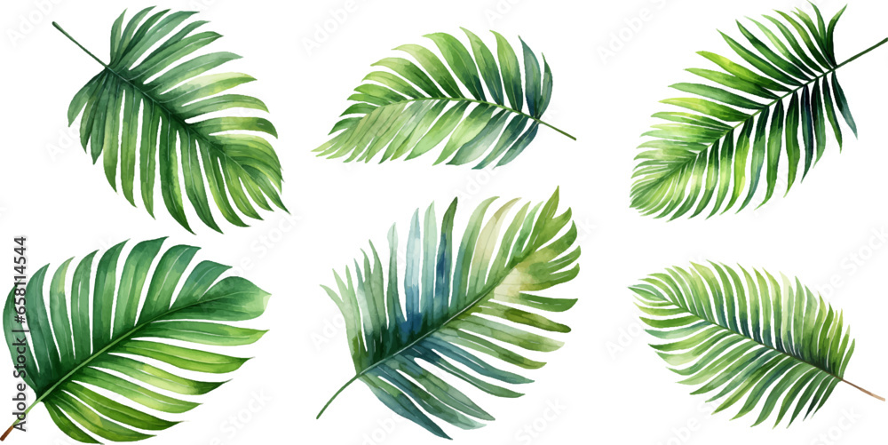 Set of watercolor palm leaves on transparent background