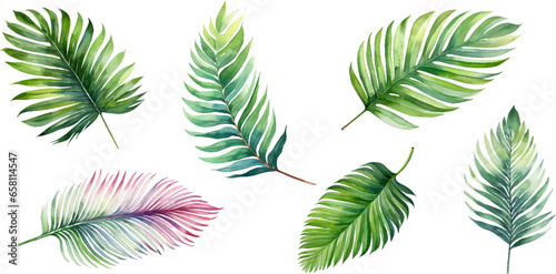 Set of watercolor palm leaves on transparent background