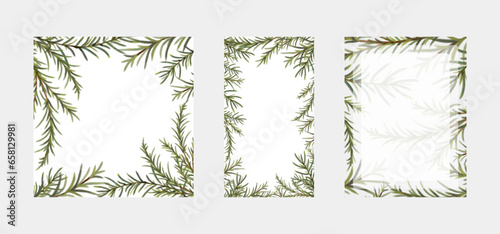 Set of border frames of hand drawn and hand painted watercolor coniferous evergreen tree branches. Square, rectangle and stories background templates for social media.