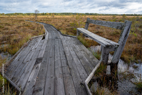 Old gray wooden bench near trail through big bog