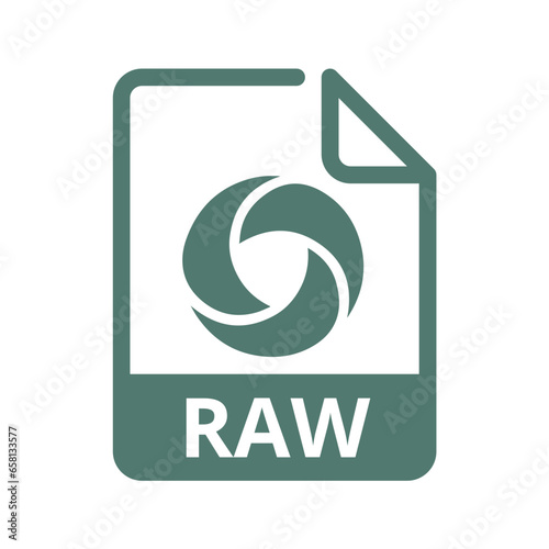 RAW File Icon. Vector File Format. Camera File Extension Modern Flat Design