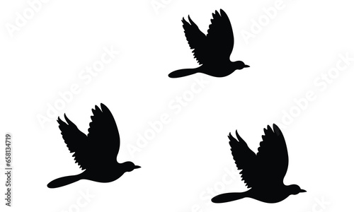 silhouettes of flock birds fly in sky 