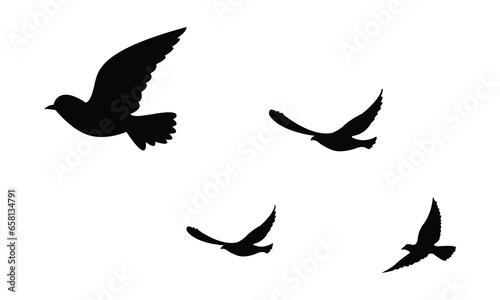 silhouettes of flock birds fly in sky  © Arthit