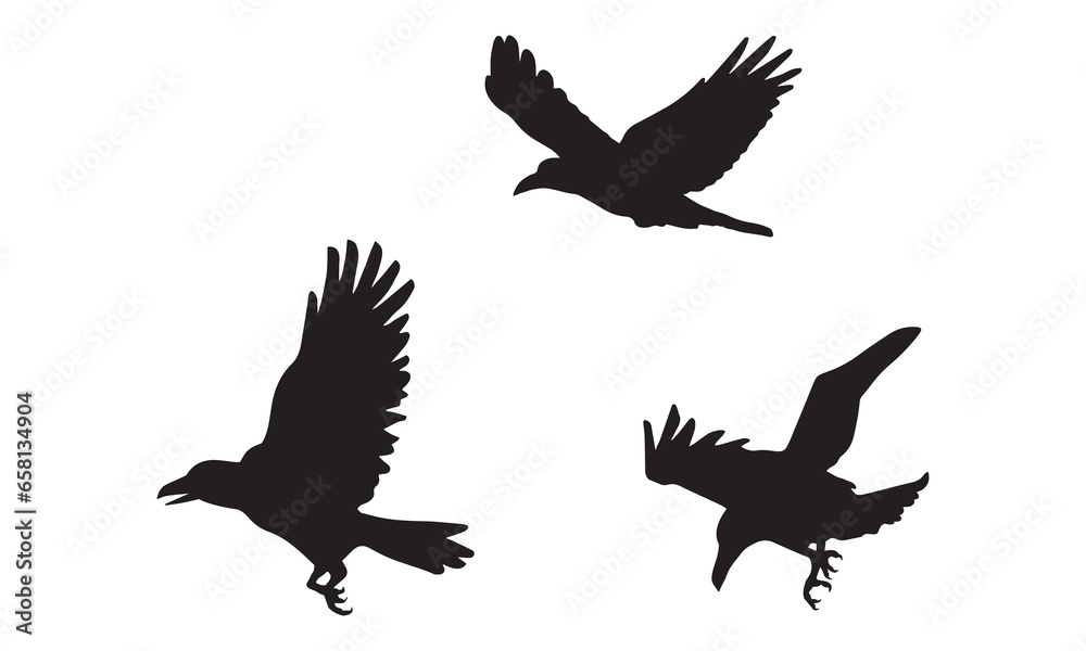 Obraz premium flock of eagles