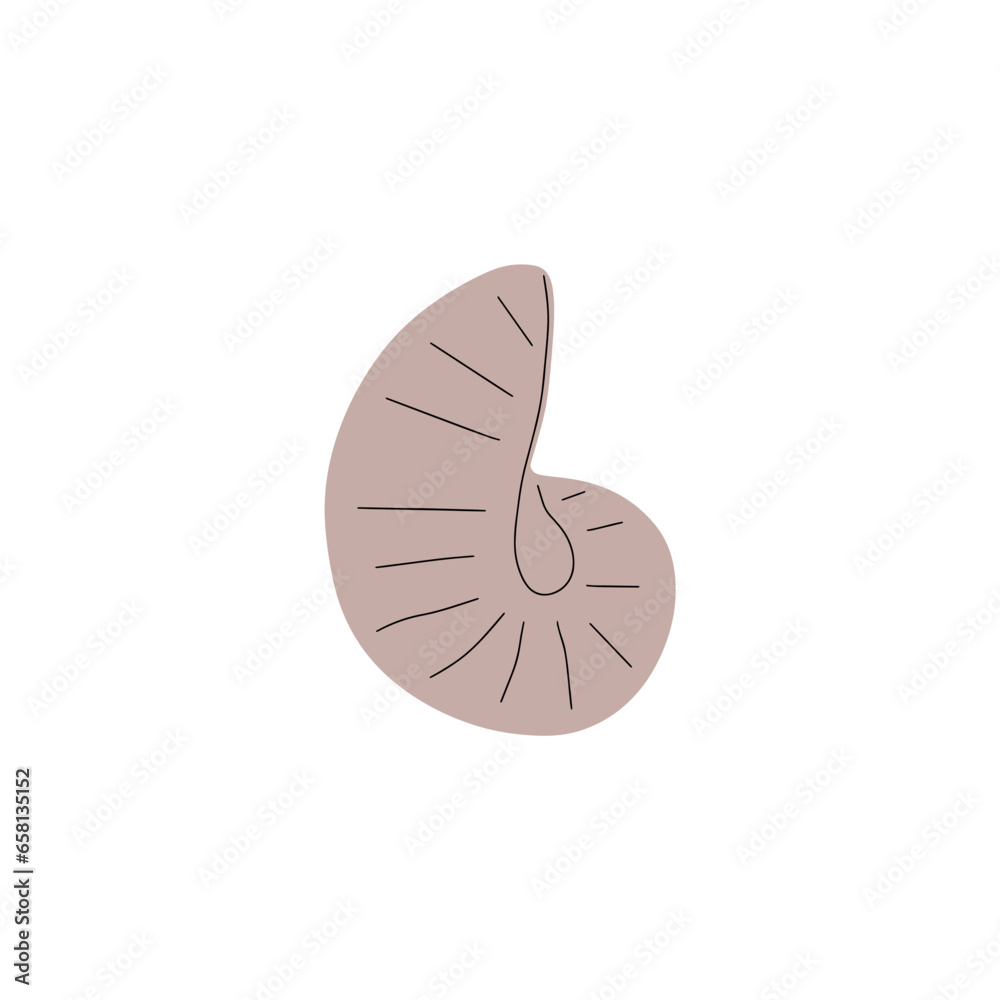 Tropical underwater seashell. Hand drawn sea mollusk shellfish element. Vector illustration in scandinavian style.