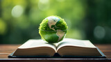 Environment Law. Green globe placed on a law book. law for principles of sustainable environmental conservation.environmental protection and eco-friendly legislation law. Save Earth. International Law