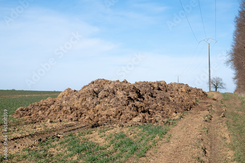 Pile of manure in a field. spreading of manure. manure for soil enrichment. Soil enrichment for crops. Close-up of manure in a meadow