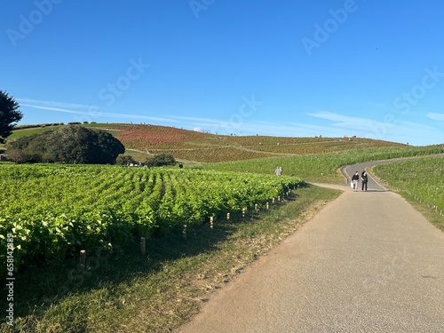 road in the countryside