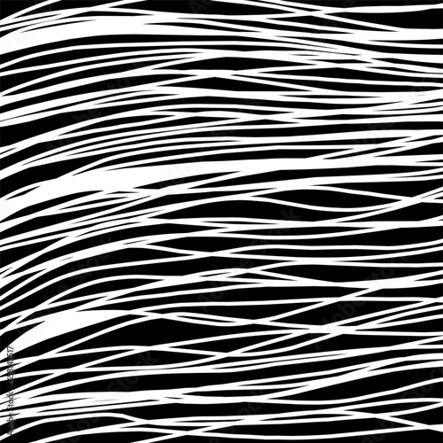 Black and white stripes background, abstract zebra skin pattern print vector design.