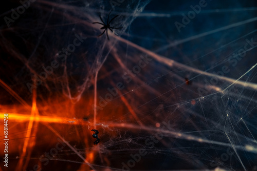 Halloween. spider crawls on the web.