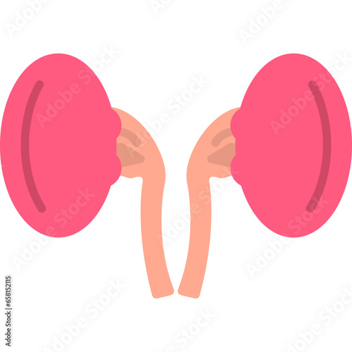 Kidneys Icon
