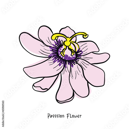 abstract floral background. Hand drawn line art vector of passion flower. 