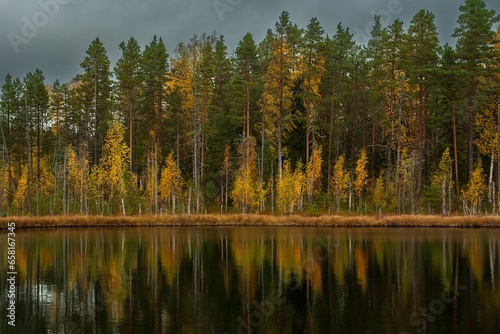 Forest lake in Scandinavia. Autumn landscape of northern forests.