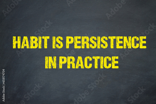 habit is persistence in practice	