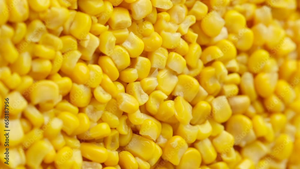 Canned corn close up, rotating. Vertical video Canned corn close up, rotating. Vertical video