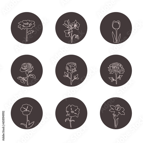 Icons of flowers in the style of a linart for Instagram in dark circles with a white outline and on a white background © KudrLiz