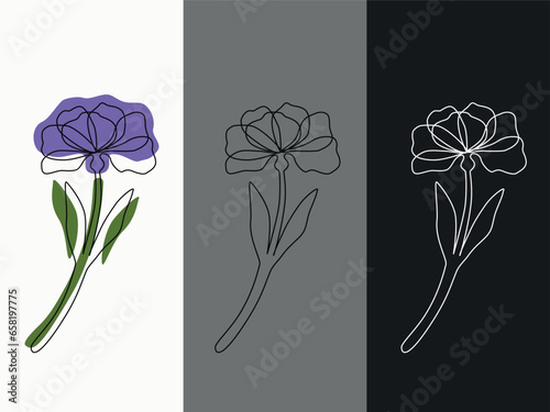 Three variants of the flower in the linart style, with a black outline and colored spots, just with a dark outline and with a white outline on a black background