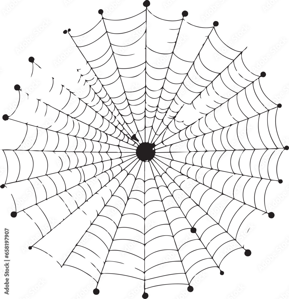 Obraz premium Vector illustration of cobweb isolated on white background spider web vector halloween element 
