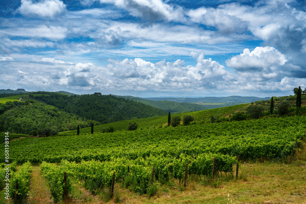 Vineyards of Chianti near Gaiole, Siena province