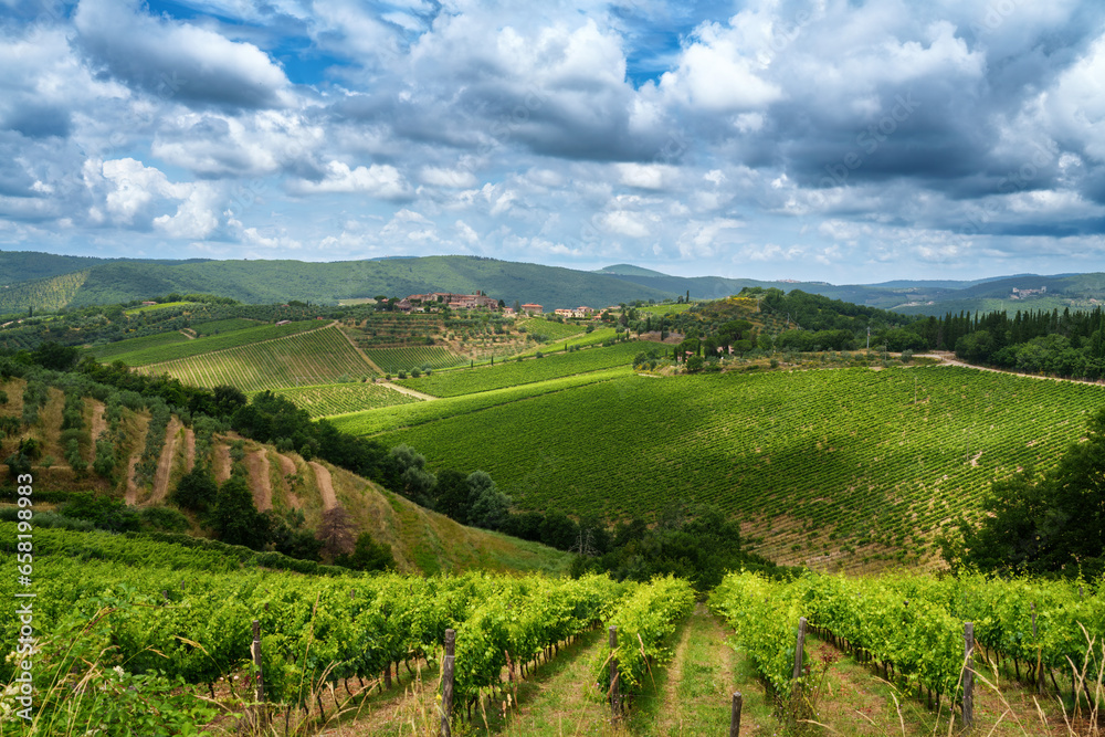Fototapeta premium Vineyards of Chianti near Gaiole, Siena province