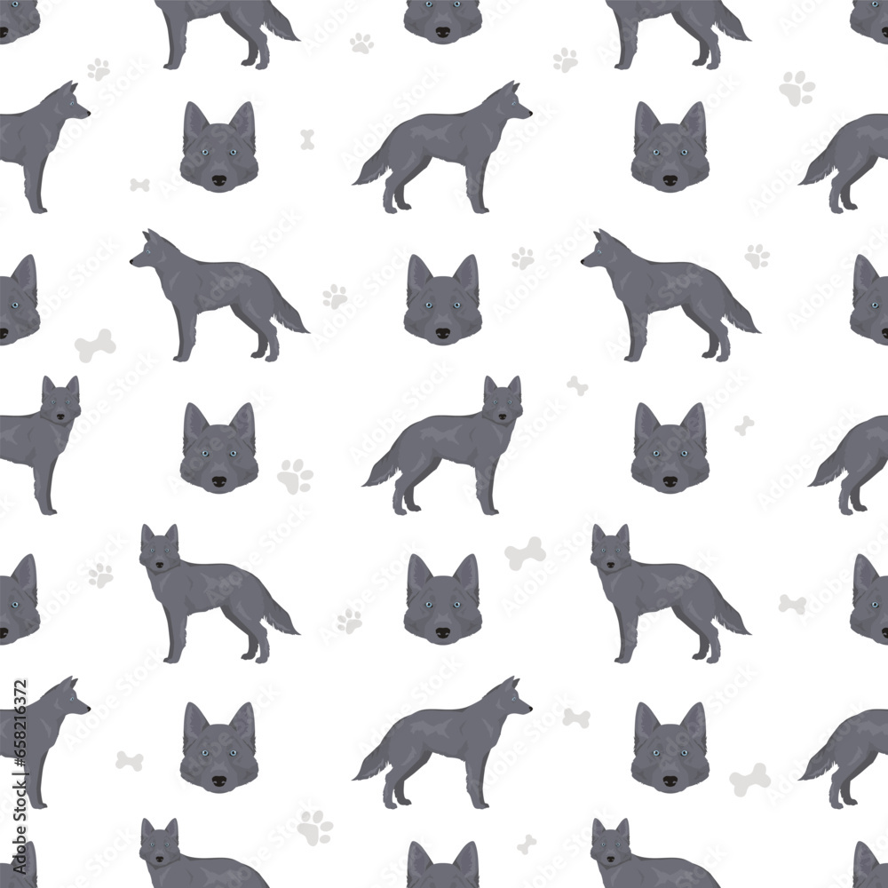 Blue Bay Shepherd seamless pattern. Blue Shepherd wolf dog mix. Different coat colors set