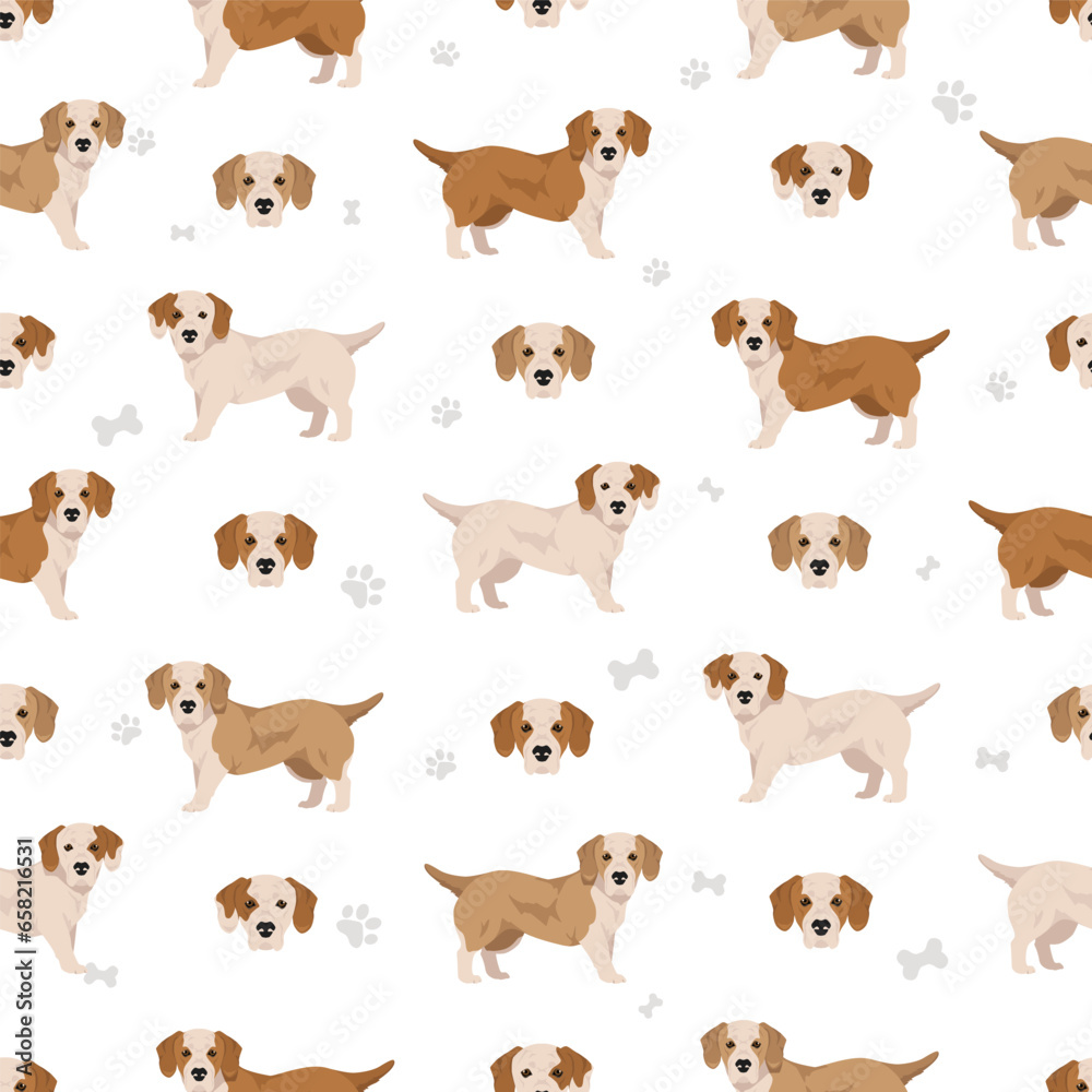 Bully Basset seamless pattern. Bulldog Basset Hound mix. Different coat colors set