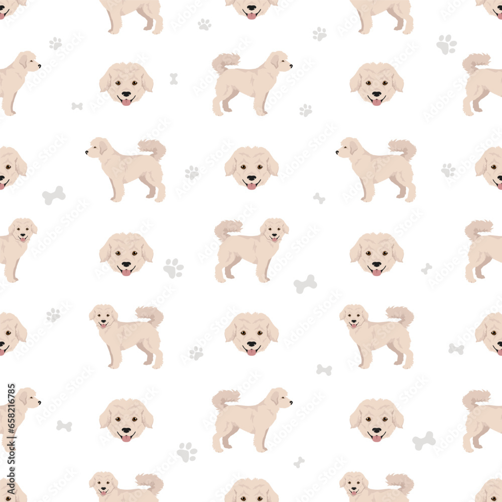 Eskapoo seamless pattern Eskimo dog Poodle mix. Different coat colors set