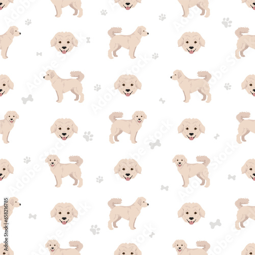 Eskapoo seamless pattern Eskimo dog Poodle mix. Different coat colors set
