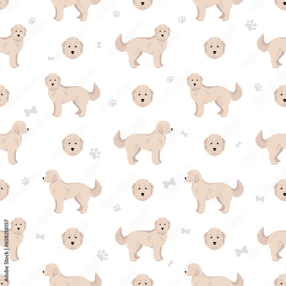 Obraz premium Sammypoo seamless pattern. Samoyed dog Poodle mix. Different coat colors set
