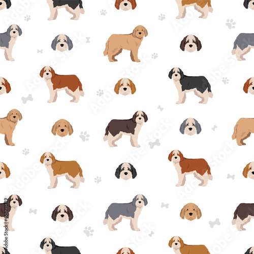 Saint Berdoodle seamless pattern. Saint Bernard Poodle mix. Different coat colors set