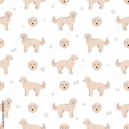 Sammypoo seamless pattern. Samoyed dog Poodle mix. Different coat colors set