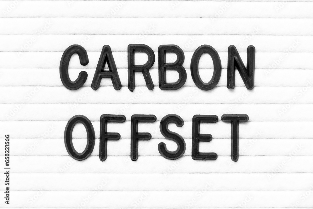 Black color letter in word carbon offset on white felt board background