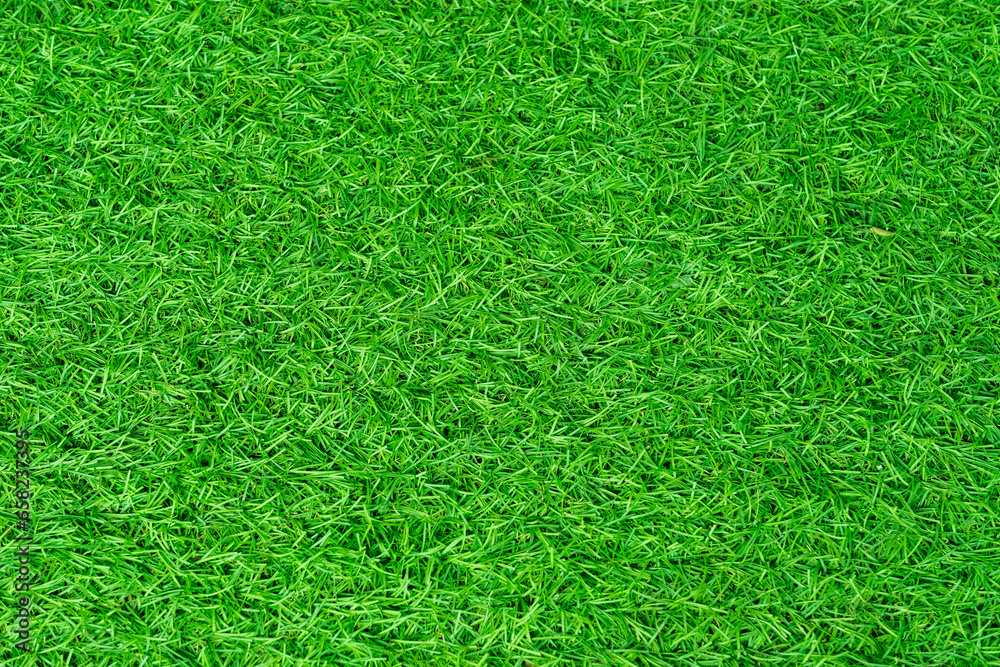Green grass background, football field
Green grass background, football field