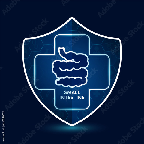 Small intestine icon inside shield with medical sign symbol cross futuristic. Medical health care innovation immunity protection. On dark blue background. Human lungs organ simple flat outline vector.