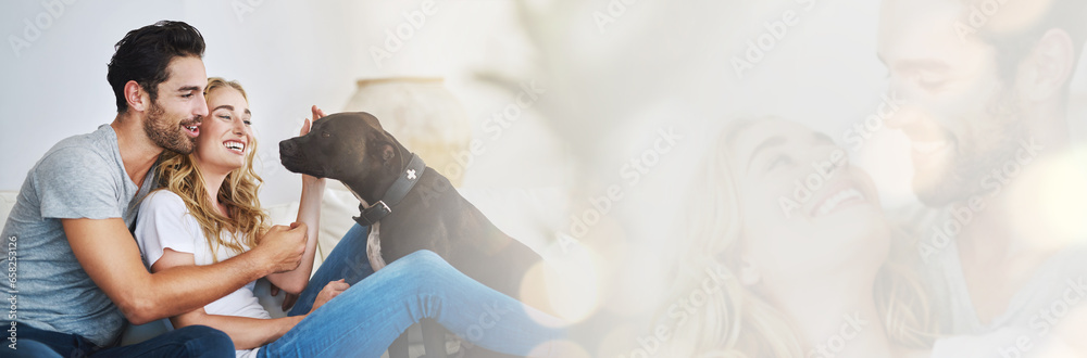 Happy, couple and relax with dog in home, mockup and banner for foster, adoption or love for rescue pitbull. People, pet and double exposure with space for puppy, info or care for animal in house - obrazy, fototapety, plakaty 
