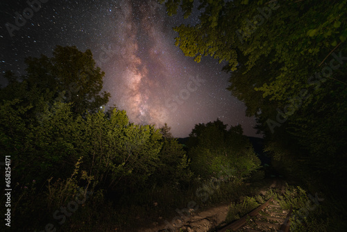 night in the forest with the milky way in the sky