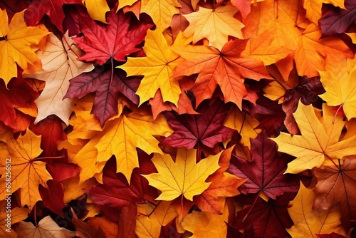 Vibrant autumn wallpaper showcasing falling leaves, offering a natural background for text or graphics. Generative AI