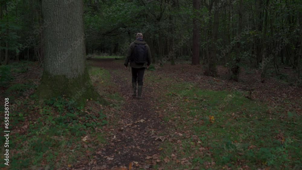 A man walking into a dark woodland beside a huge tree A man walking into a dark woodland beside a huge tree