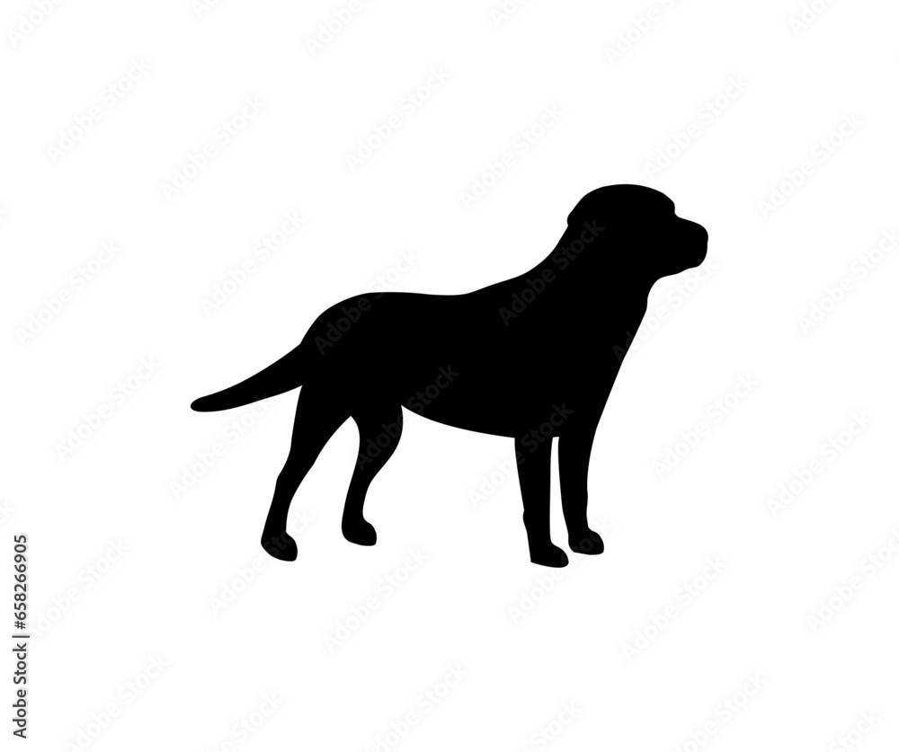 Labrador Retriever dog logo design. Labrador Retriever silhouette vector design and illustration.
